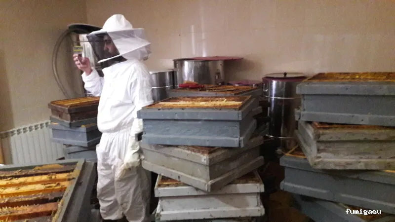 Agp Sanidad Ambiental