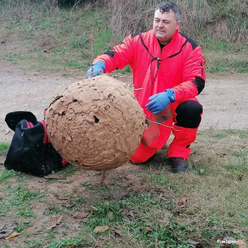Agp Sanidad Ambiental
