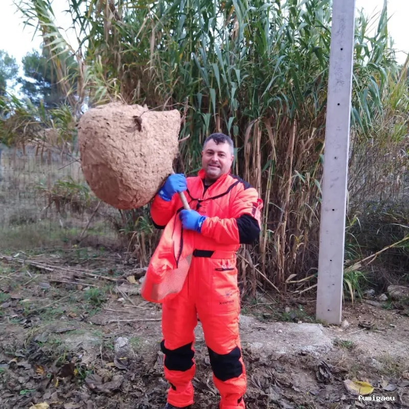 Agp Sanidad Ambiental