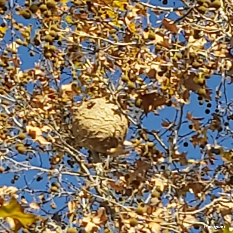 Agp Sanidad Ambiental