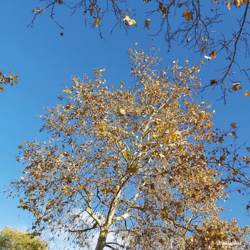 Agp Sanidad Ambiental