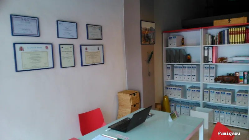 Técnicos de Higiene Ambiental. THA.