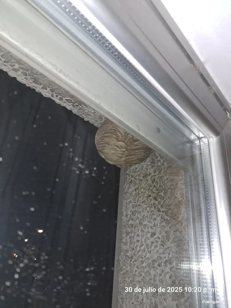 Técnicos de Higiene Ambiental. THA.