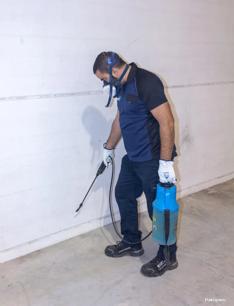 Control de plagas en Badajoz: Plagax