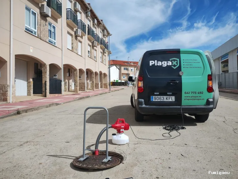 Control de plagas en Badajoz: Plagax