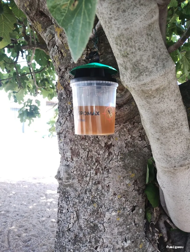 Control de plagas en Badajoz: Plagax