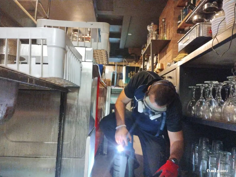 Control de plagas en Badajoz: Plagax