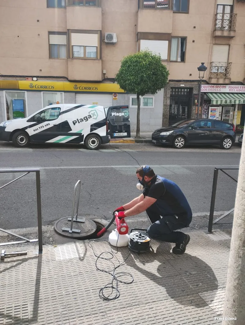 Control de plagas en Badajoz: Plagax