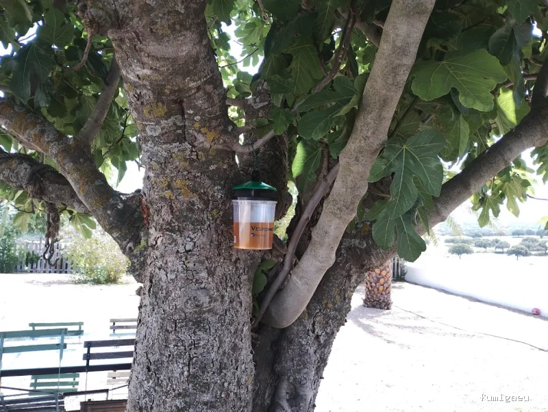 Control de plagas en Badajoz: Plagax