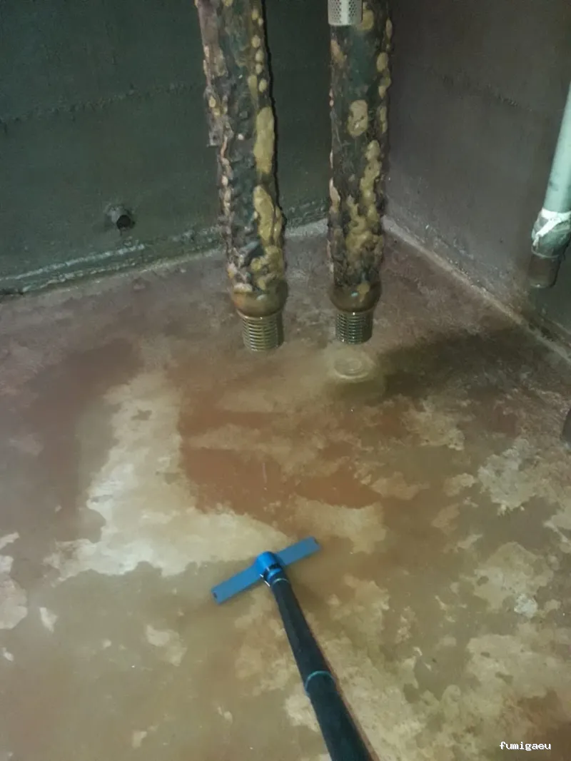 Control de plagas en Badajoz: Plagax