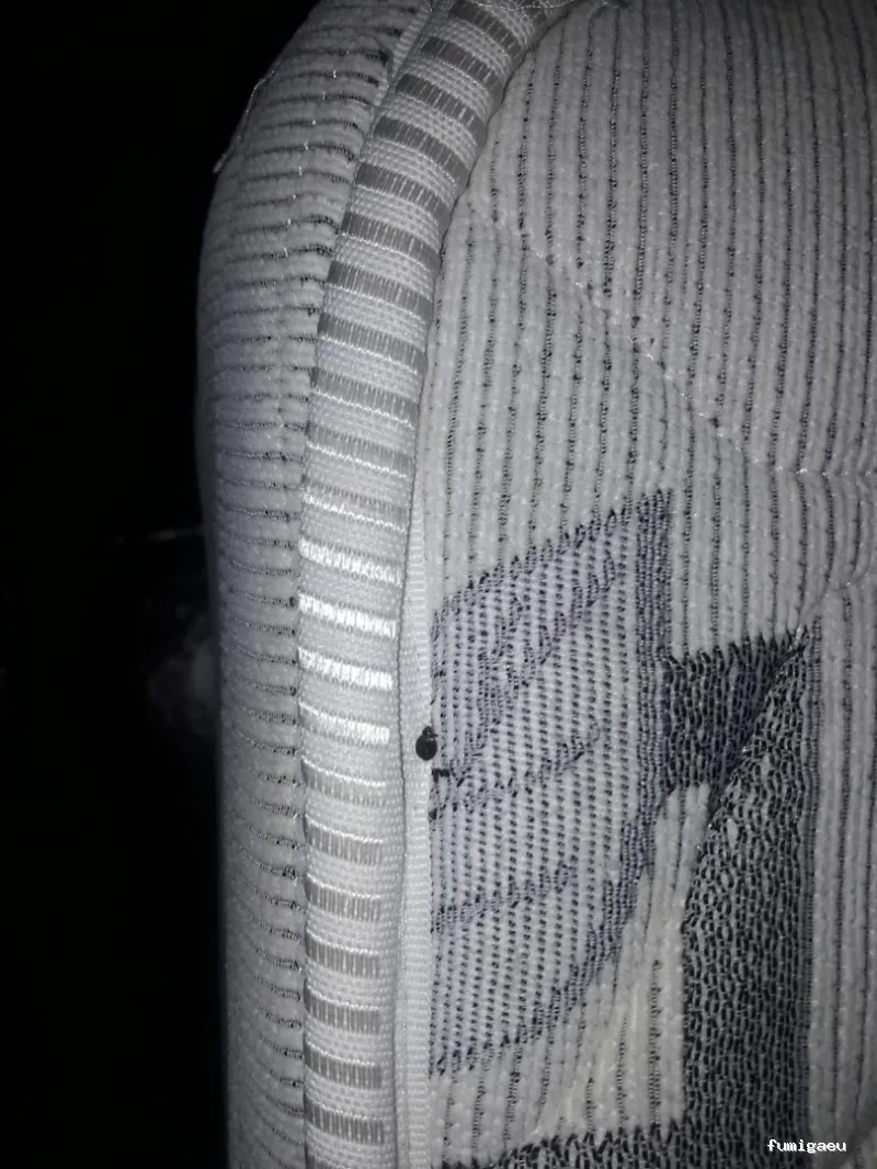 Control de plagas en Badajoz: Plagax