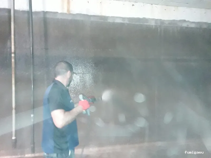 Control de plagas en Badajoz: Plagax