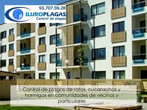 Iluro Plagas Mataró