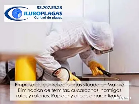 Iluro Plagas Mataró