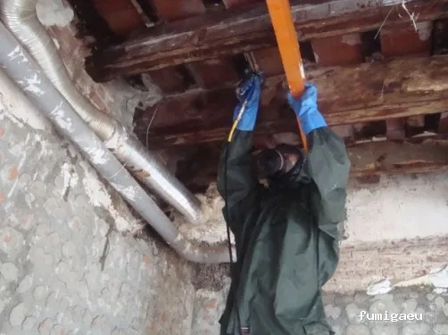 Iluro Plagas Mataró