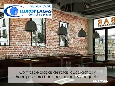 Iluro Plagas Mataró