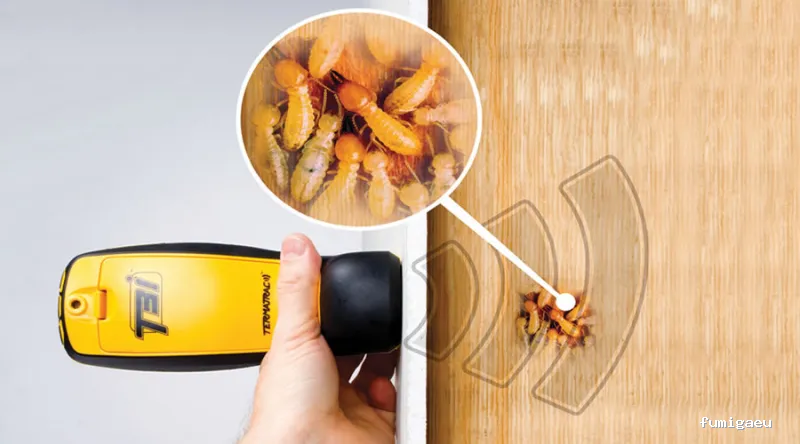 Iluro Plagas Mataró