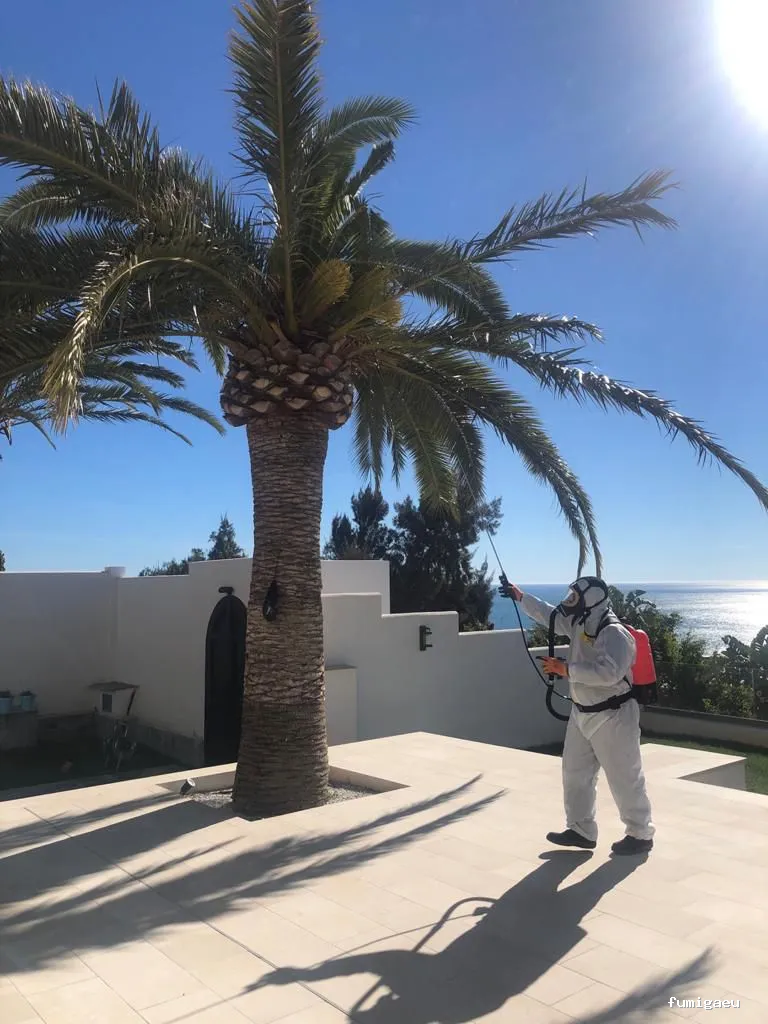 Control de Plagas Marbella