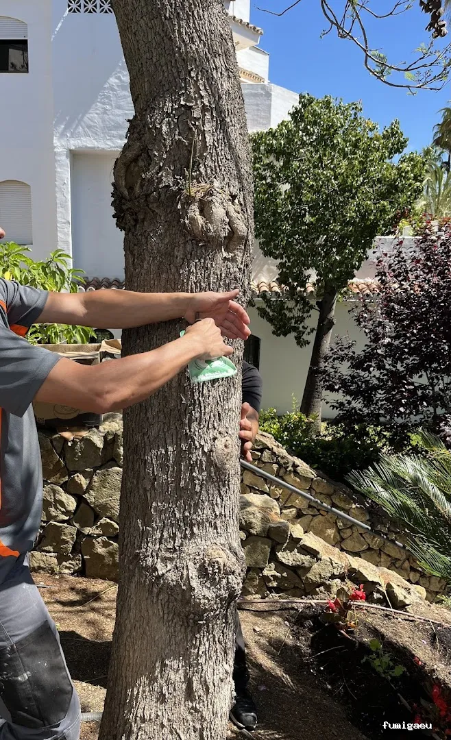 Control de Plagas Marbella