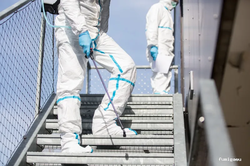 Control de Plagas Marbella