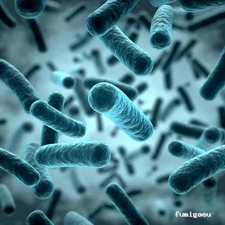 Desinfecciones Plaguitecno en Alcañiz