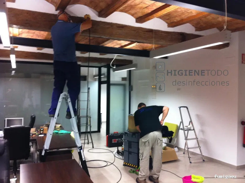 Control de Plagas y Limpieza de Depósitos en Alicante Higienetodo Desinfecciones