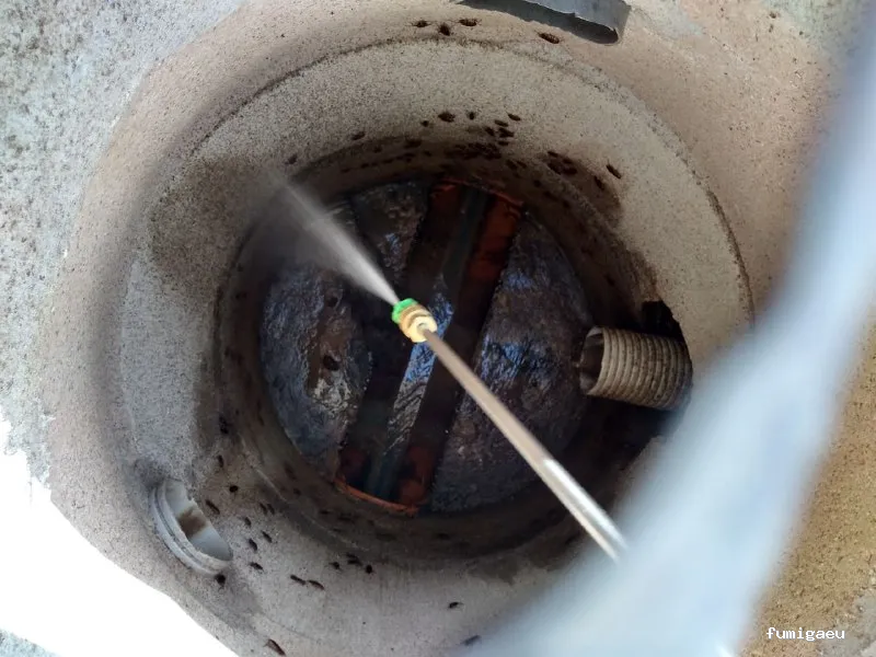 Control de Plagas y Limpieza de Depósitos en Alicante Higienetodo Desinfecciones