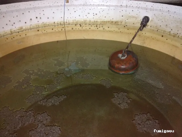 Control de Plagas y Limpieza de Depósitos en Alicante Higienetodo Desinfecciones