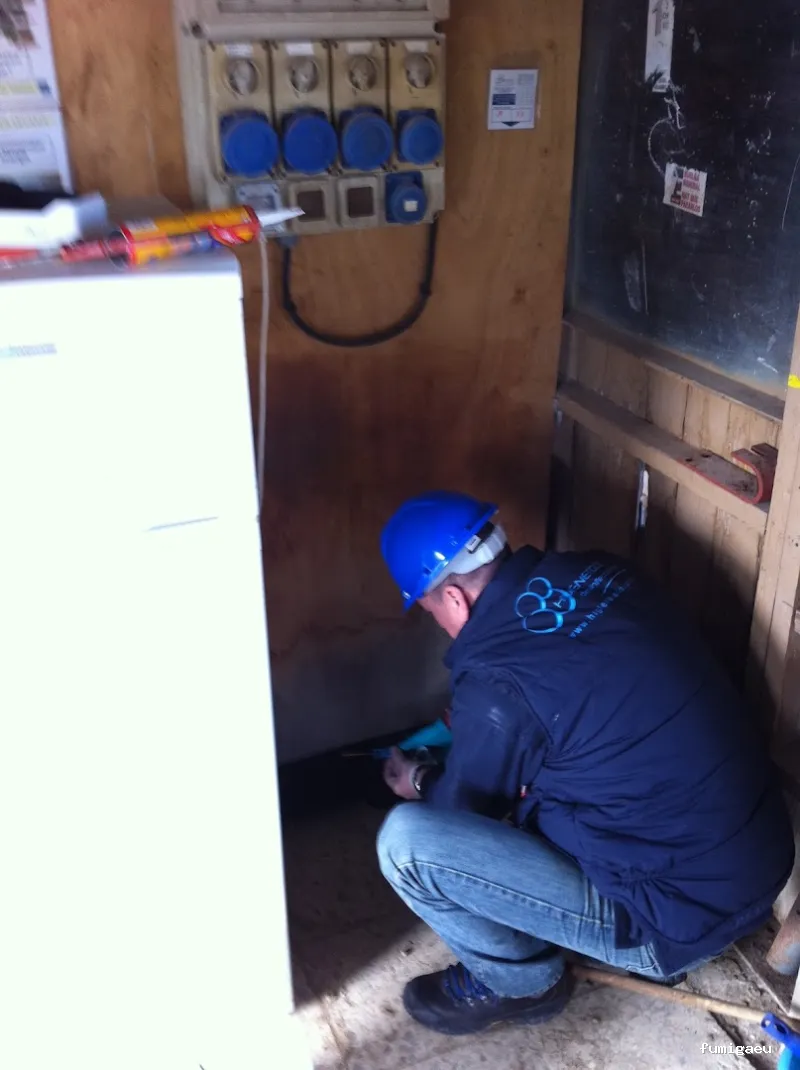 Control de Plagas y Limpieza de Depósitos en Alicante Higienetodo Desinfecciones