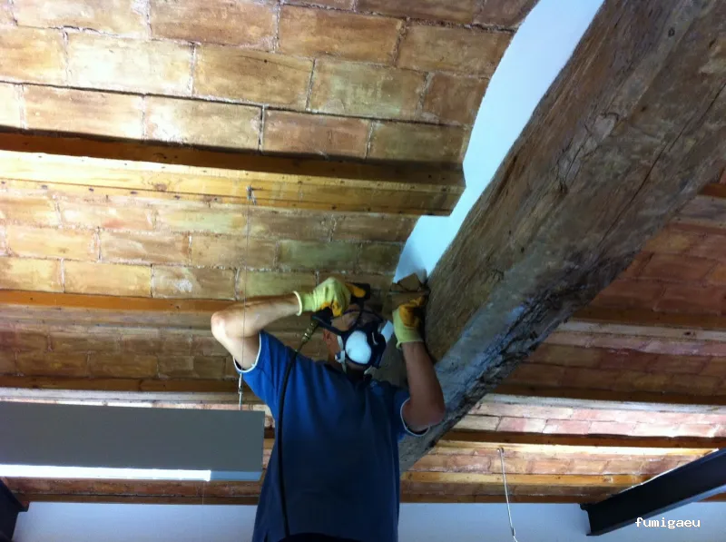 Control de Plagas y Limpieza de Depósitos en Alicante Higienetodo Desinfecciones