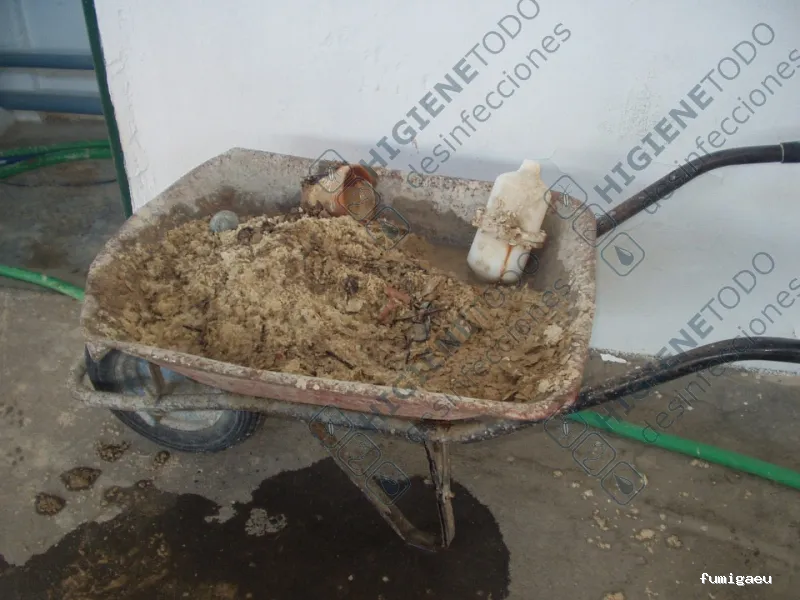 Control de Plagas y Limpieza de Depósitos en Alicante Higienetodo Desinfecciones