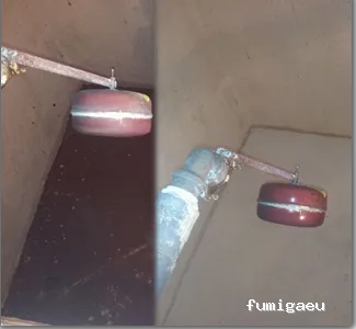 Control de Plagas y Limpieza de Depósitos en Alicante Higienetodo Desinfecciones