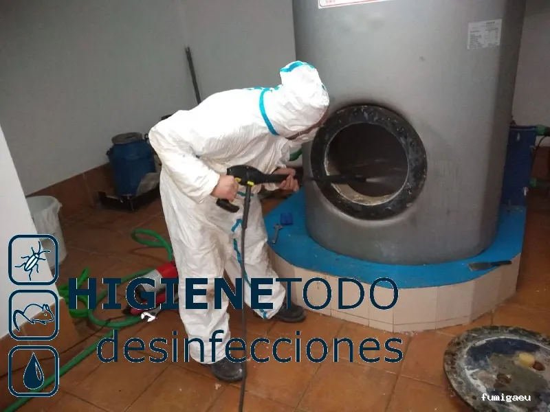 Control de Plagas y Limpieza de Depósitos en Alicante Higienetodo Desinfecciones