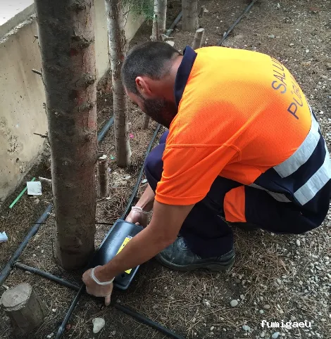 Campos Serrano Biólogos