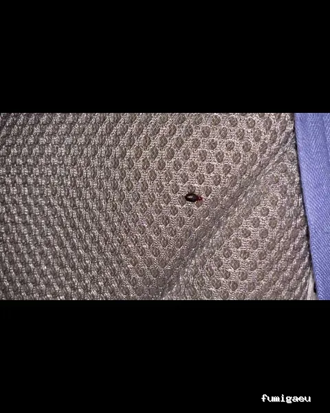 Campos Serrano Biólogos