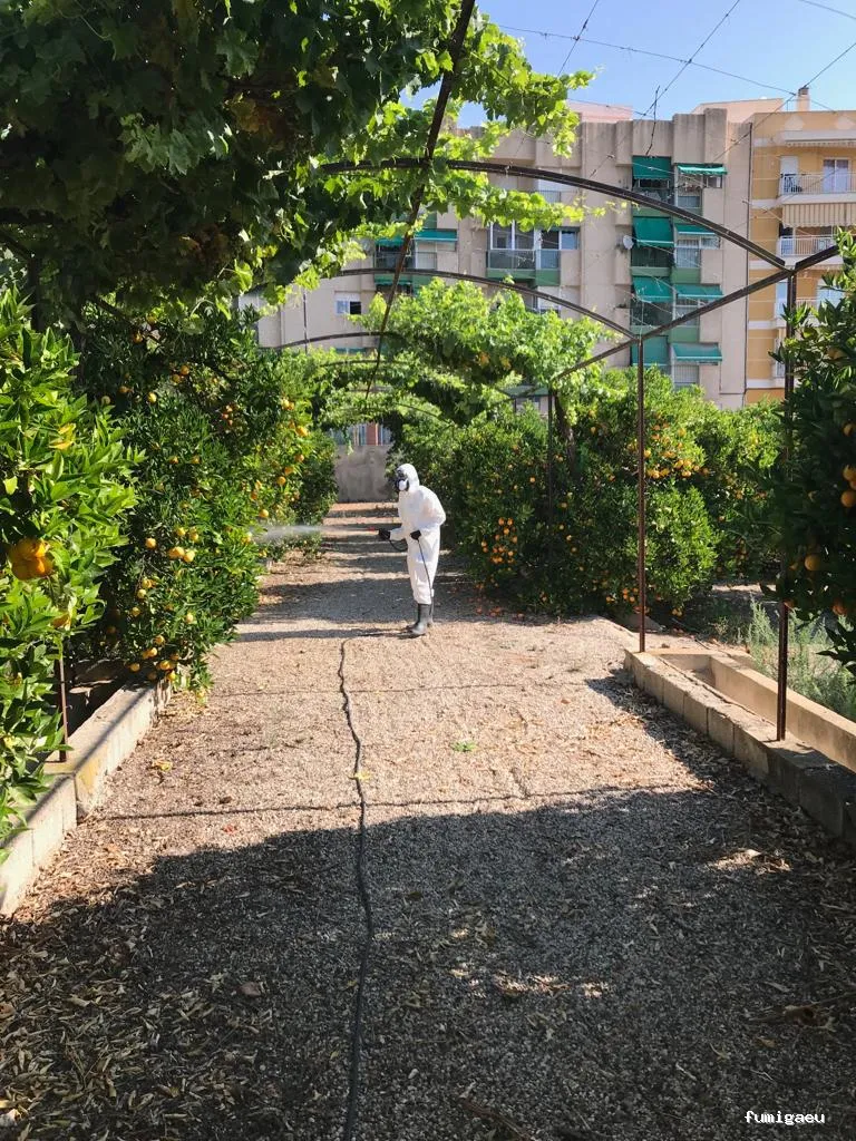 Campos Serrano Biólogos