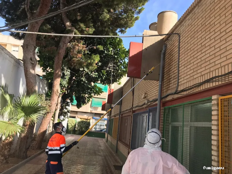 Campos Serrano Biólogos