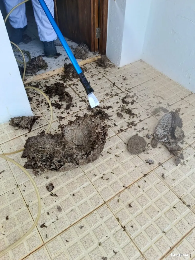 Fumigaciónes y ttos. Huelva Control