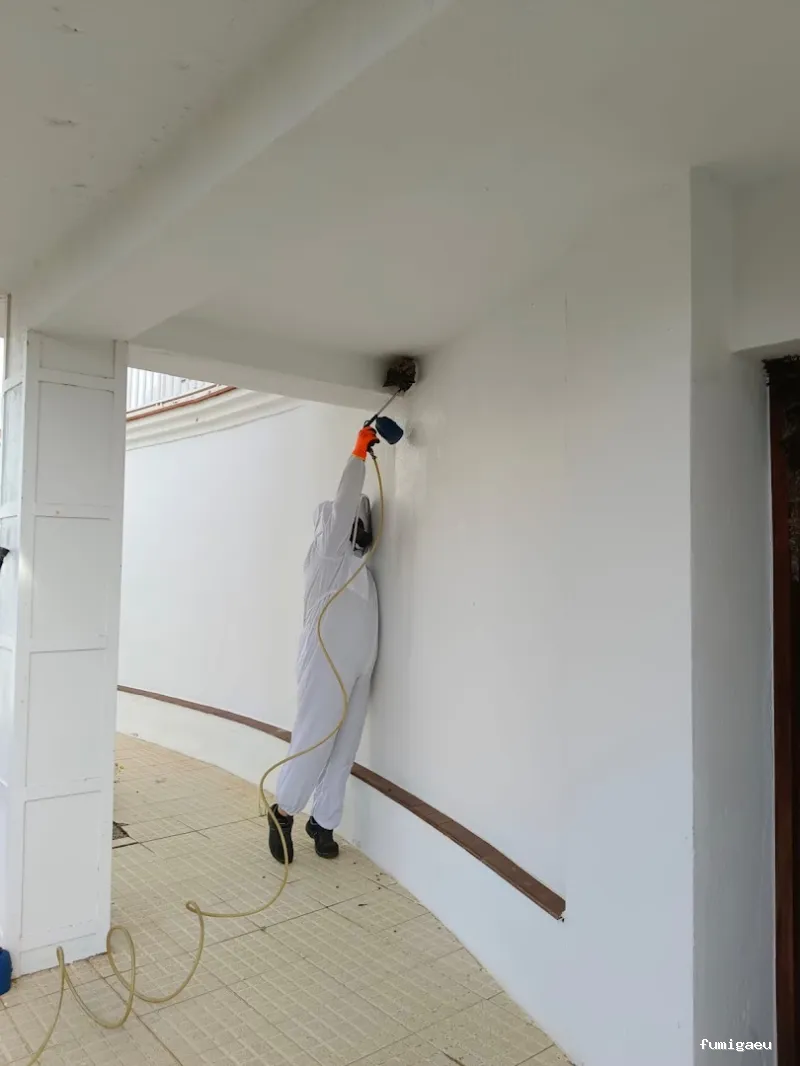 Fumigaciónes y ttos. Huelva Control