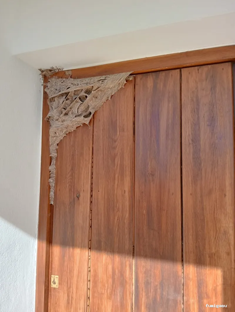 Fumigaciónes y ttos. Huelva Control