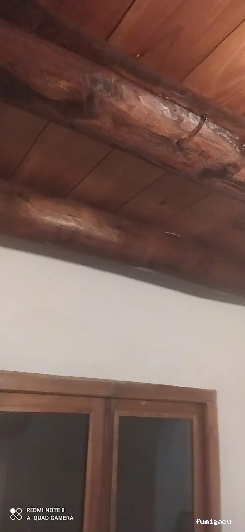 Fumigaciónes y ttos. Huelva Control