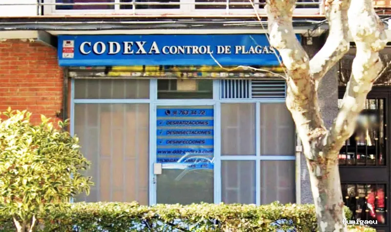 Codexa Control de Plagas