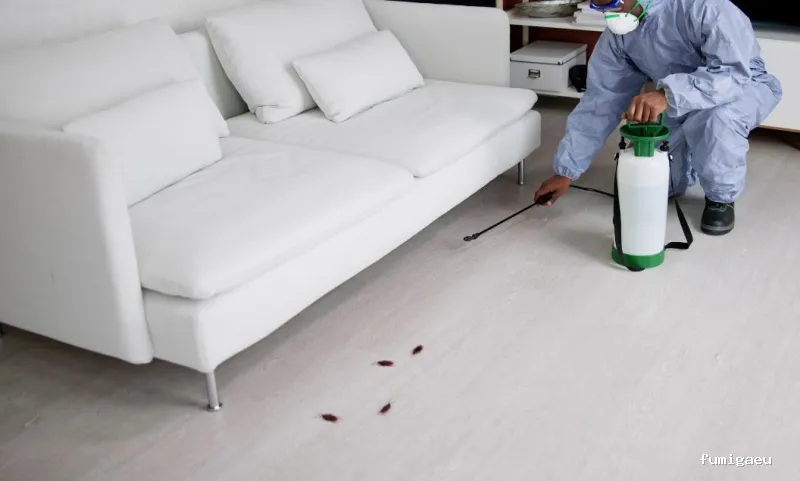 Codexa Control de Plagas