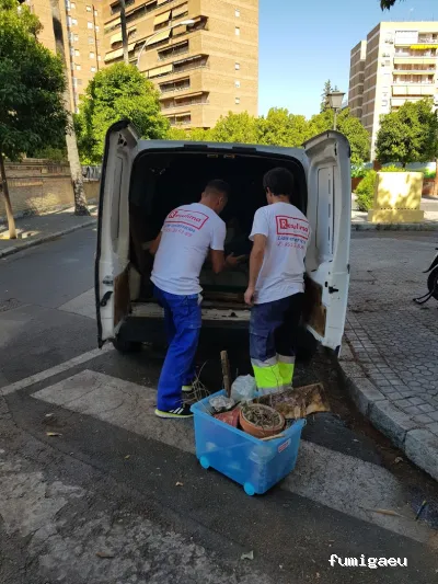 Limpiezas especiales y control de plagas Sevilla