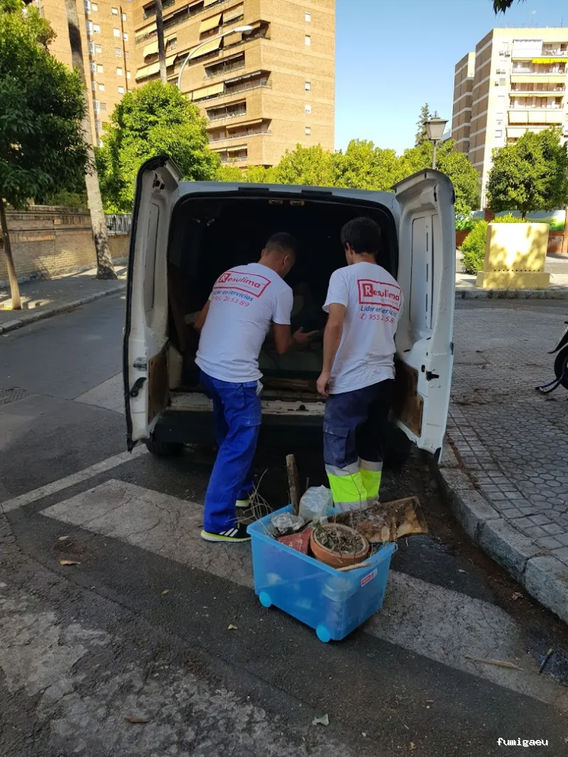 Limpiezas especiales y control de plagas Sevilla