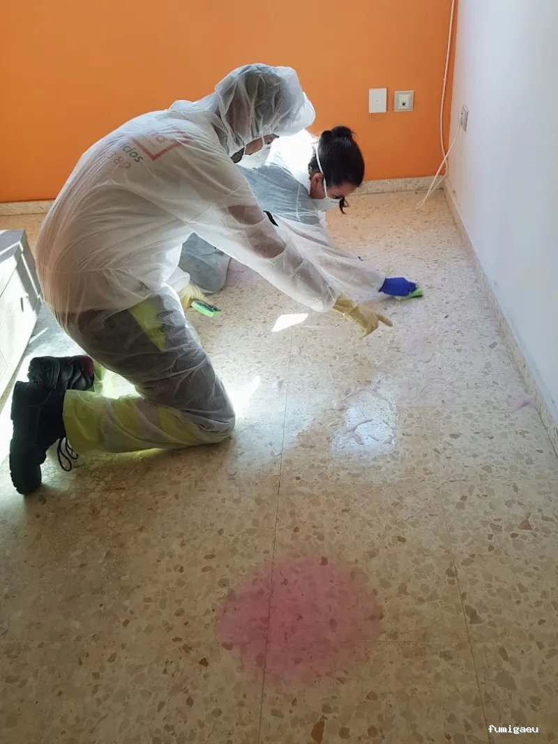 Limpiezas especiales y control de plagas Sevilla