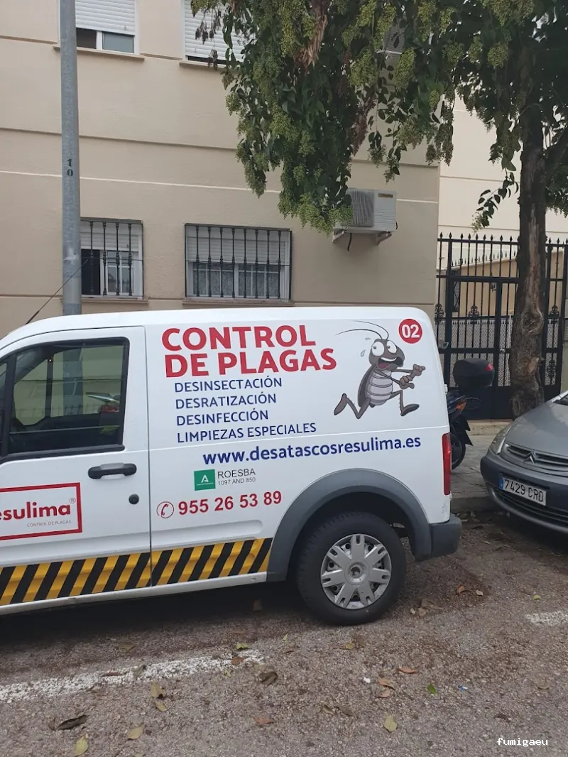 Limpiezas especiales y control de plagas Sevilla