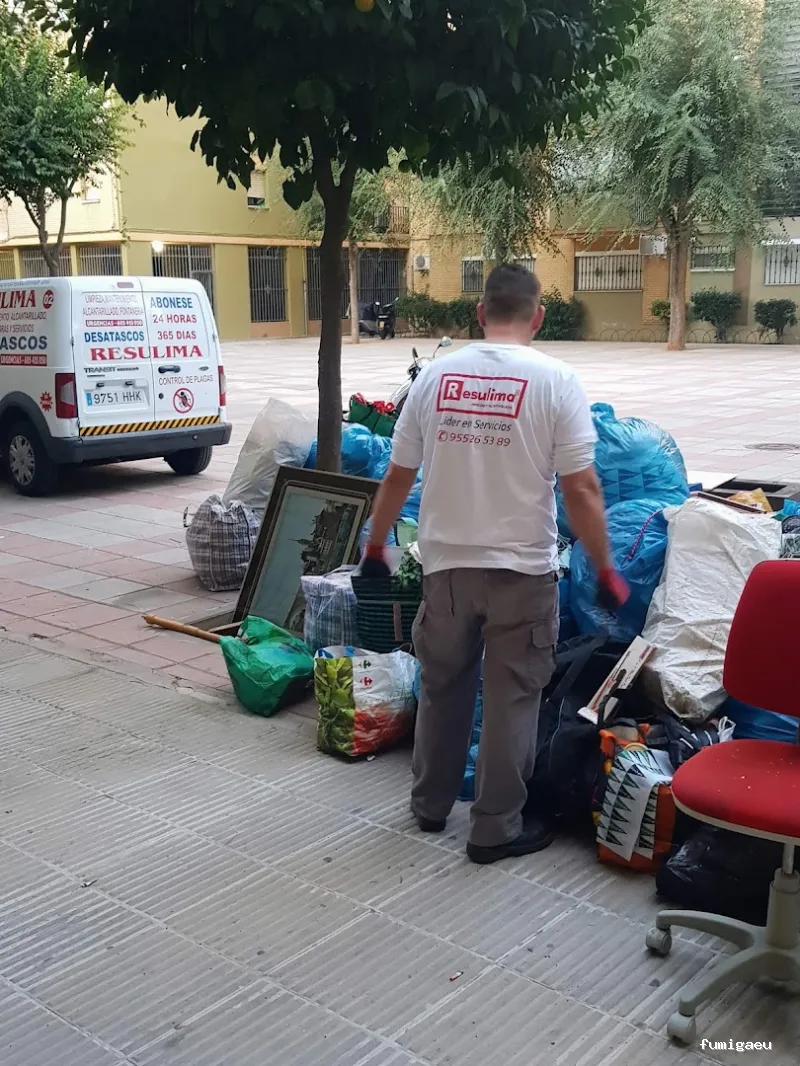 Limpiezas especiales y control de plagas Sevilla