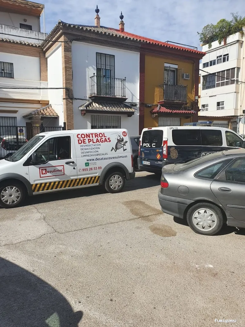 Limpiezas especiales y control de plagas Sevilla