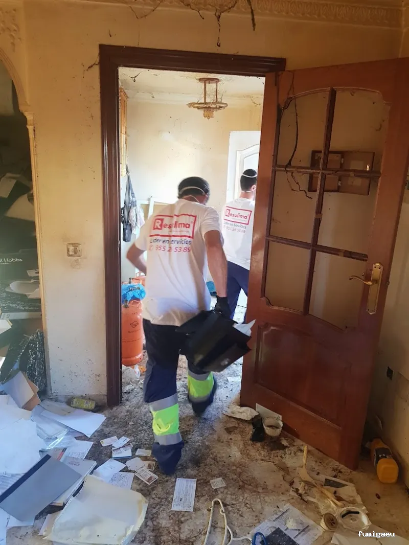 Limpiezas especiales y control de plagas Sevilla